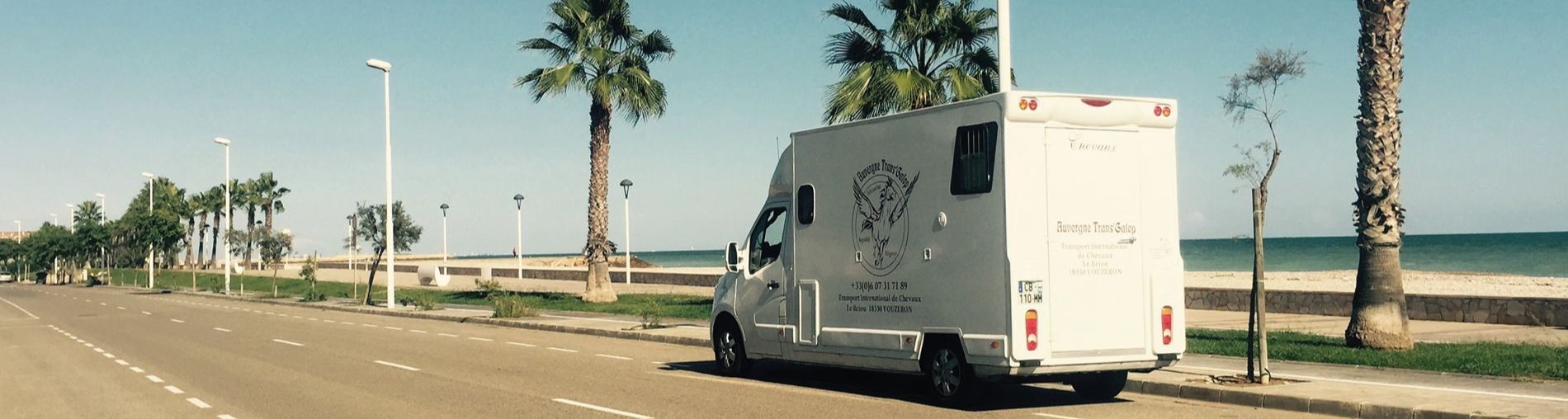 transport chevaux en France et en Corse