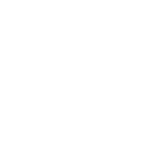 conditions camion transport cheval