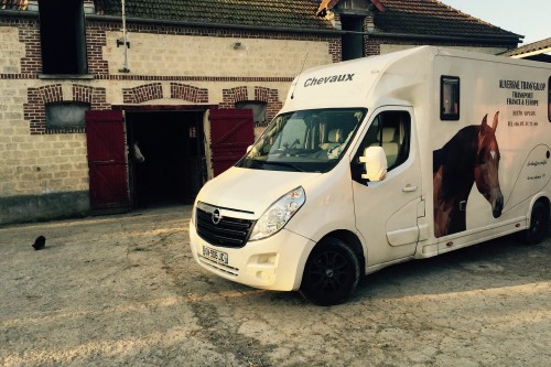 transporteur chevaux en France et en Europe transporteur chevaux professionnel