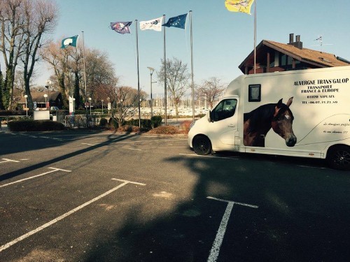 transgalop transport professionnel chevaux_7112